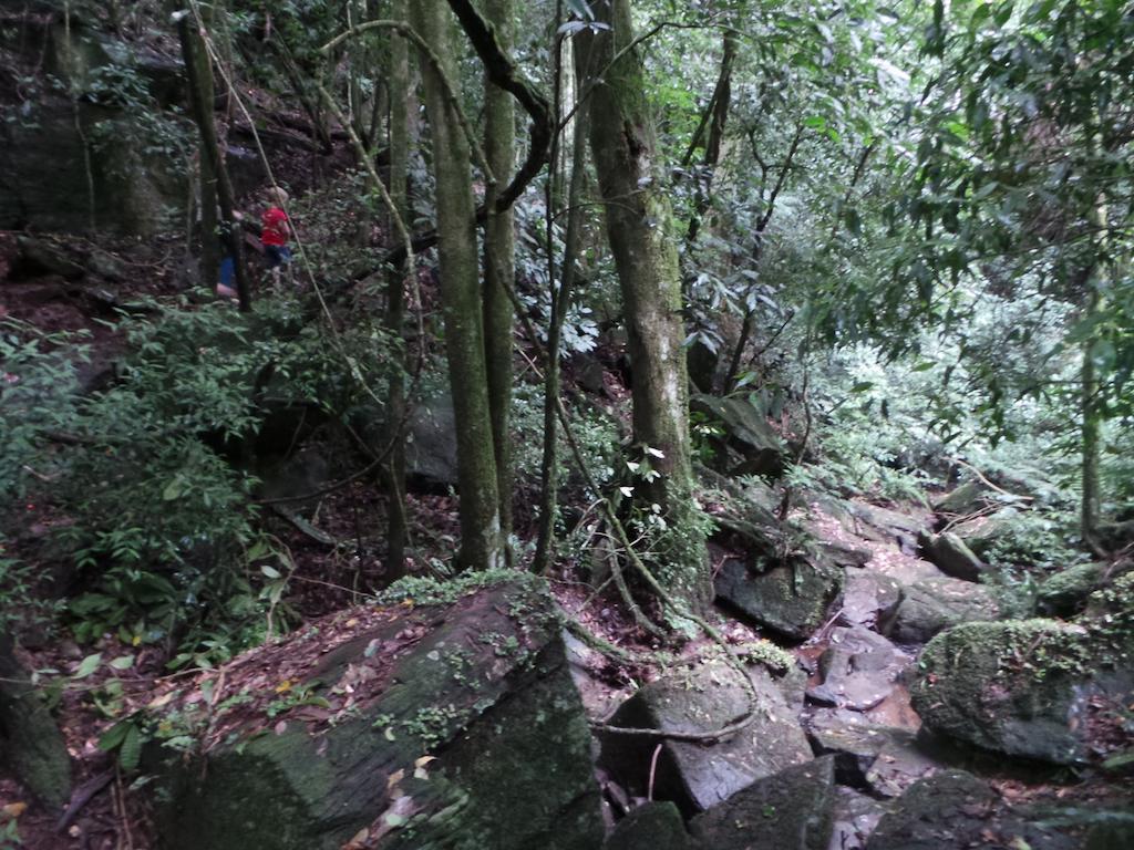 Recanto Dos Pioneiros Nova Petropolis Kültér fotó