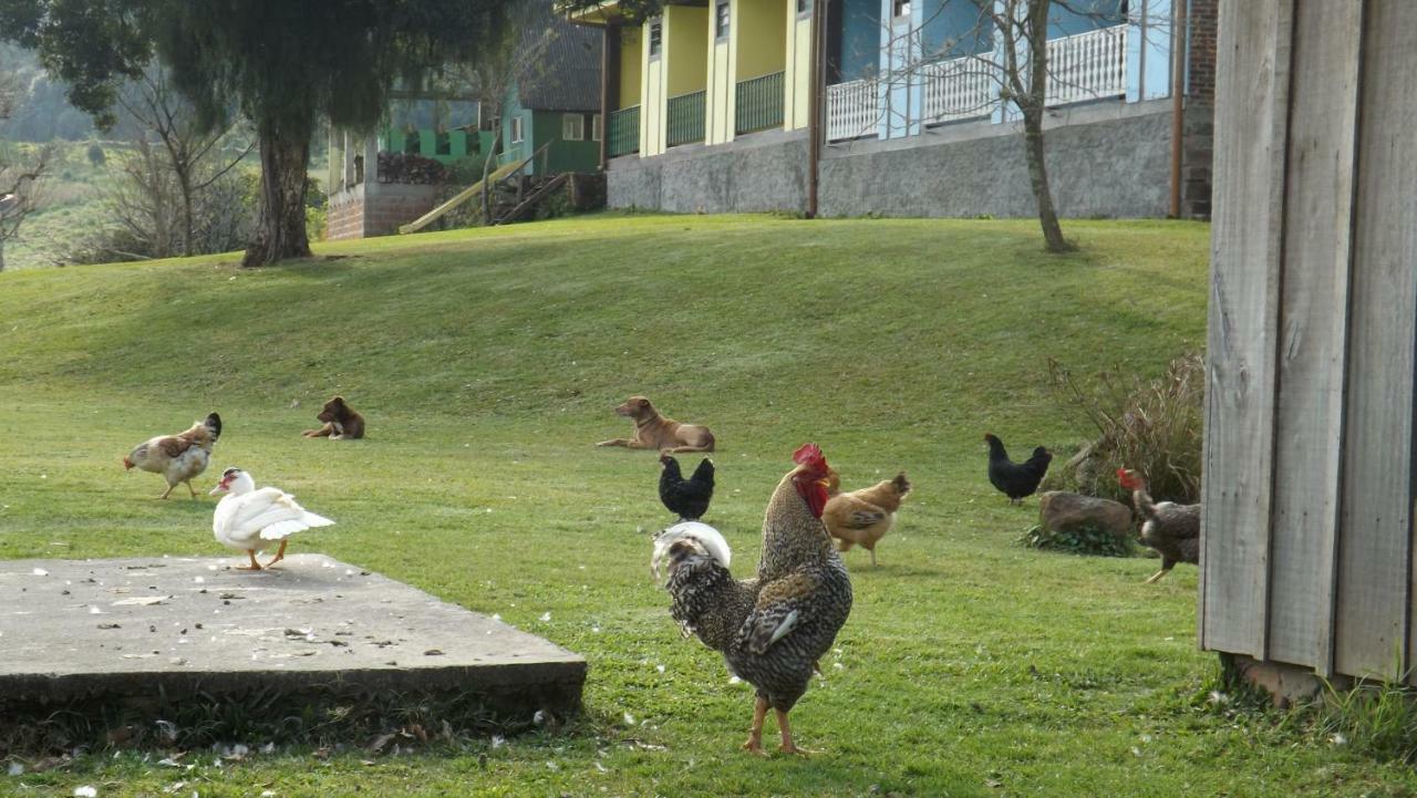 Recanto Dos Pioneiros Nova Petropolis Kültér fotó